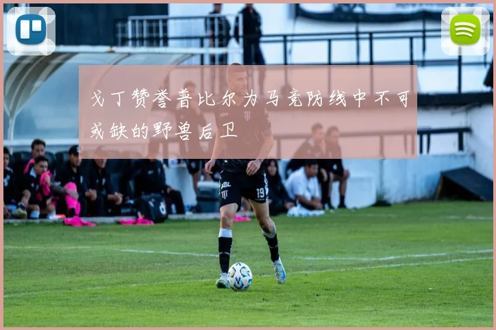 戈丁赞誉普比尔为马竞防线中不可或缺的野兽后卫